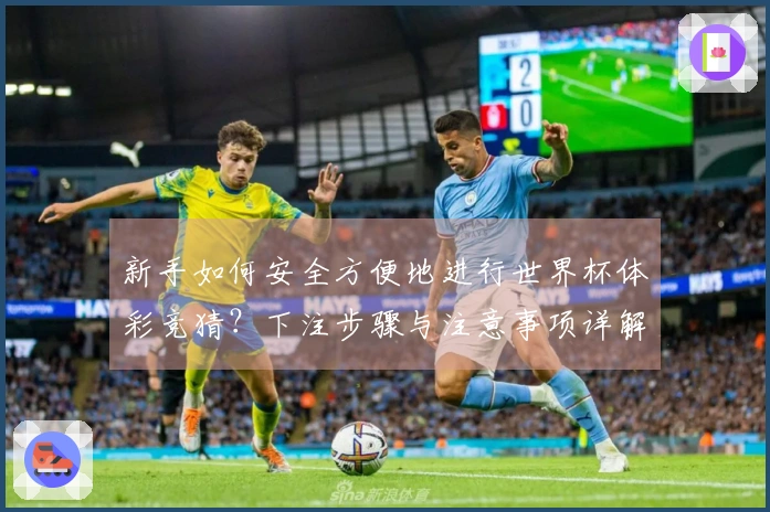 新手如何安全方便地进行世界杯体彩竞猜？下注步骤与注意事项详解