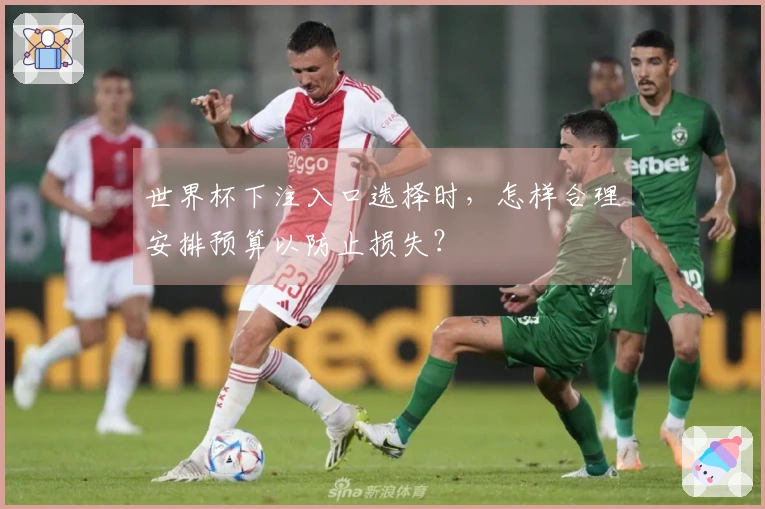 世界杯下注入口选择时，怎样合理安排预算以防止损失？