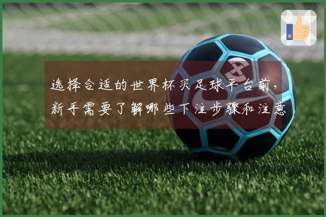 选择合适的世界杯买足球平台前，新手需要了解哪些下注步骤和注意事项？