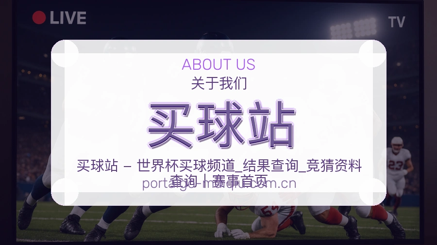 买球站服务范围介绍
